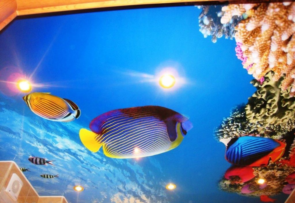 натяжной потолок